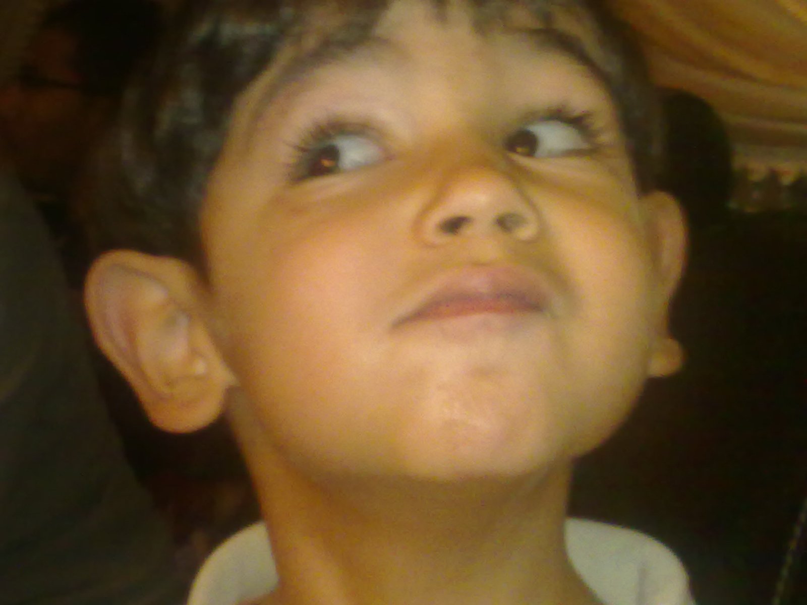 2011