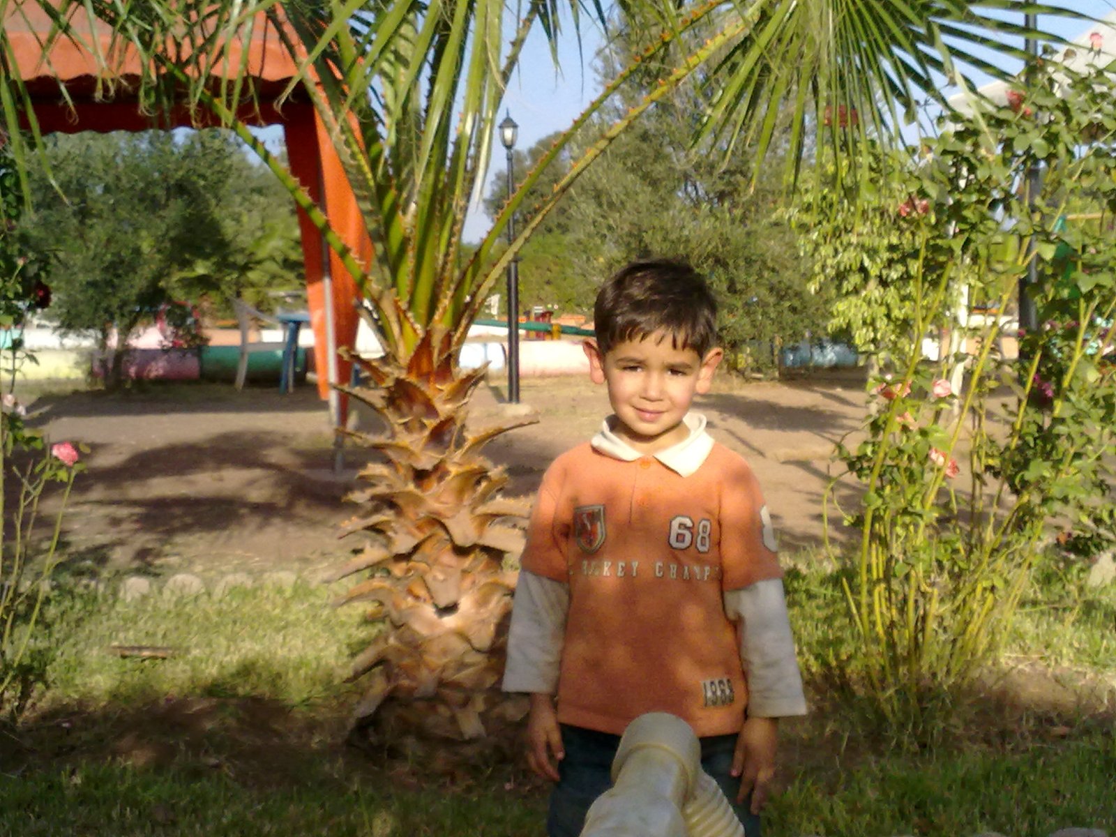 2010